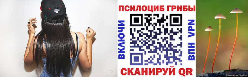 где продают   Димитровград  Галлюциногенные грибы прущие грибы 