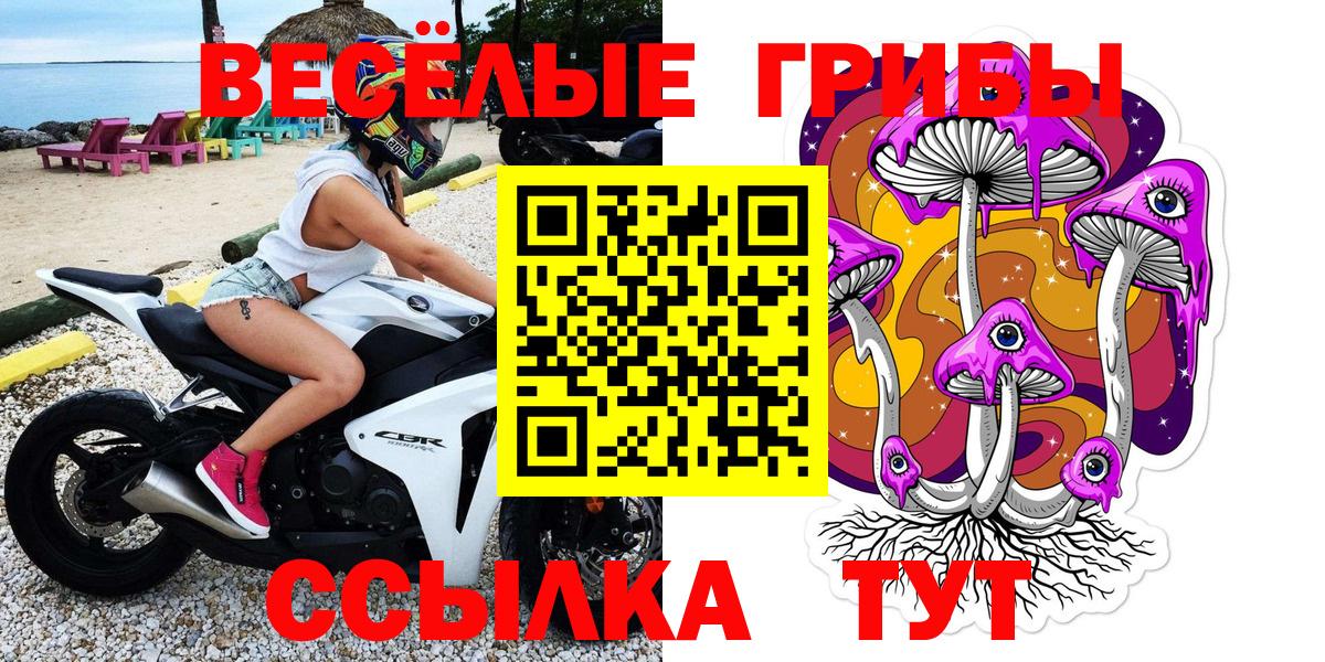 Псилоцибиновые грибы MAGIC MUSHROOMS  Димитровград 