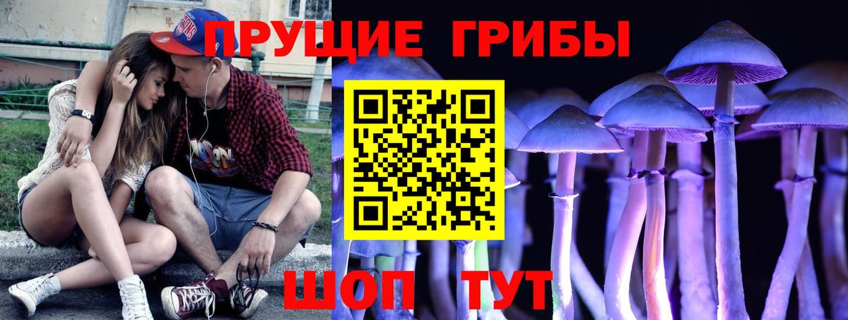 Псилоцибиновые грибы мухоморы Димитровград