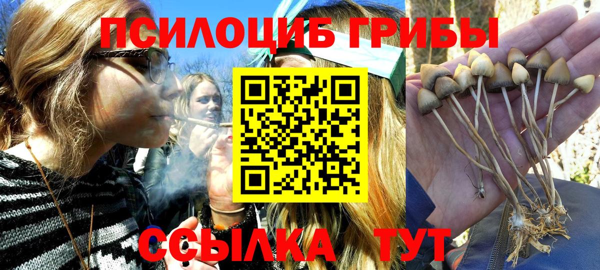 Галлюциногенные грибы GOLDEN TEACHER  Вход с VPN  Димитровград 